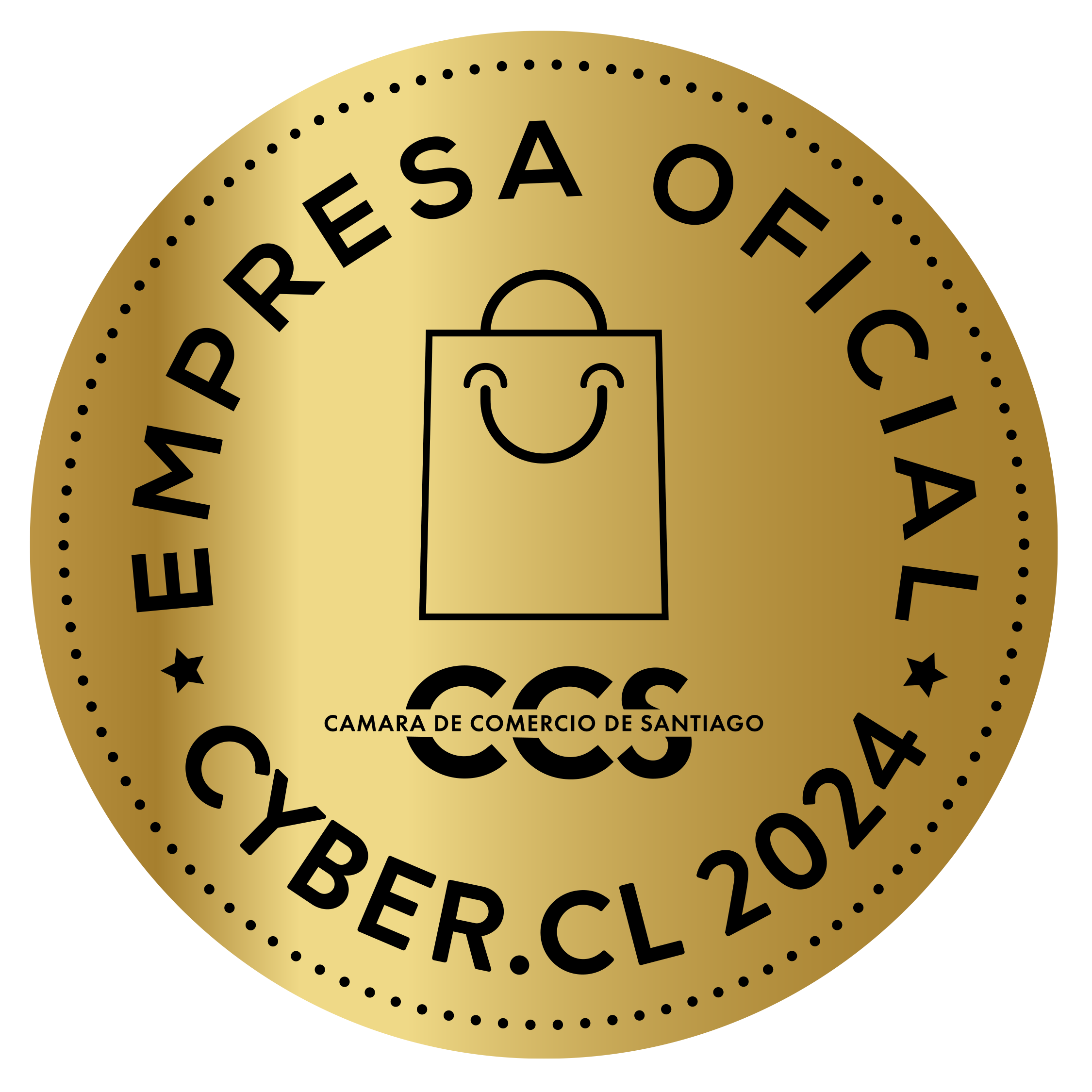 Empresa oficial CYBER.CL 2024